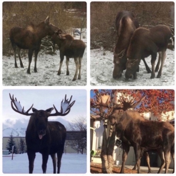 MEET THE POSHERS - Picture 8 of 16